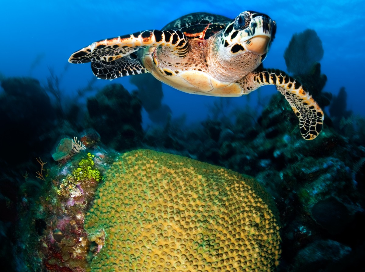 Conservar lo natural, disfrutar lo auténtico